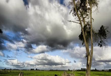 雄鹿火箭交易传闻：字母哥或赴休斯顿雄鹿获潜力新星+选秀权