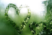 太阳队稳扎稳打，季后赛表现令人瞩目卫冕机会渐近