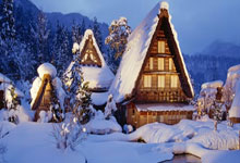 开拓者队换帅调整阵容，力争季后赛