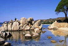 快船续约主力前锋尼克-巴图姆