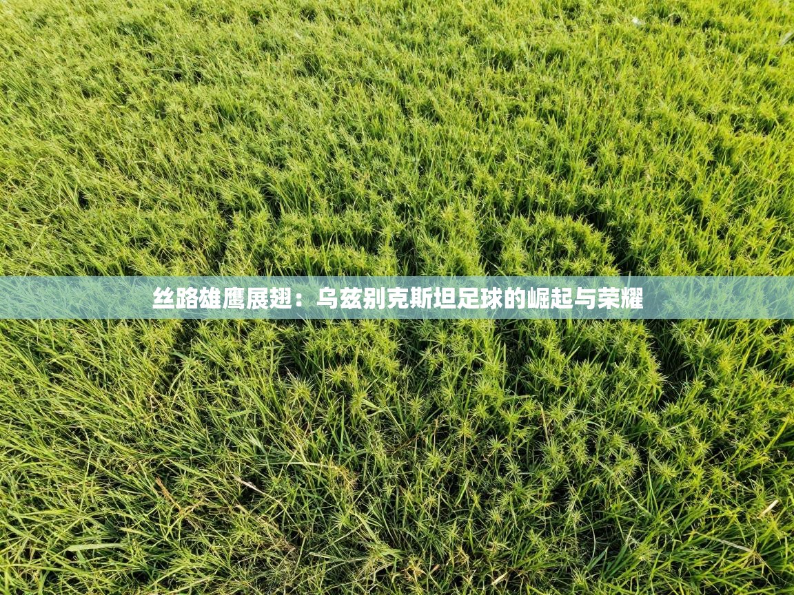 丝路雄鹰展翅：乌兹别克斯坦足球的崛起与荣耀  第2张