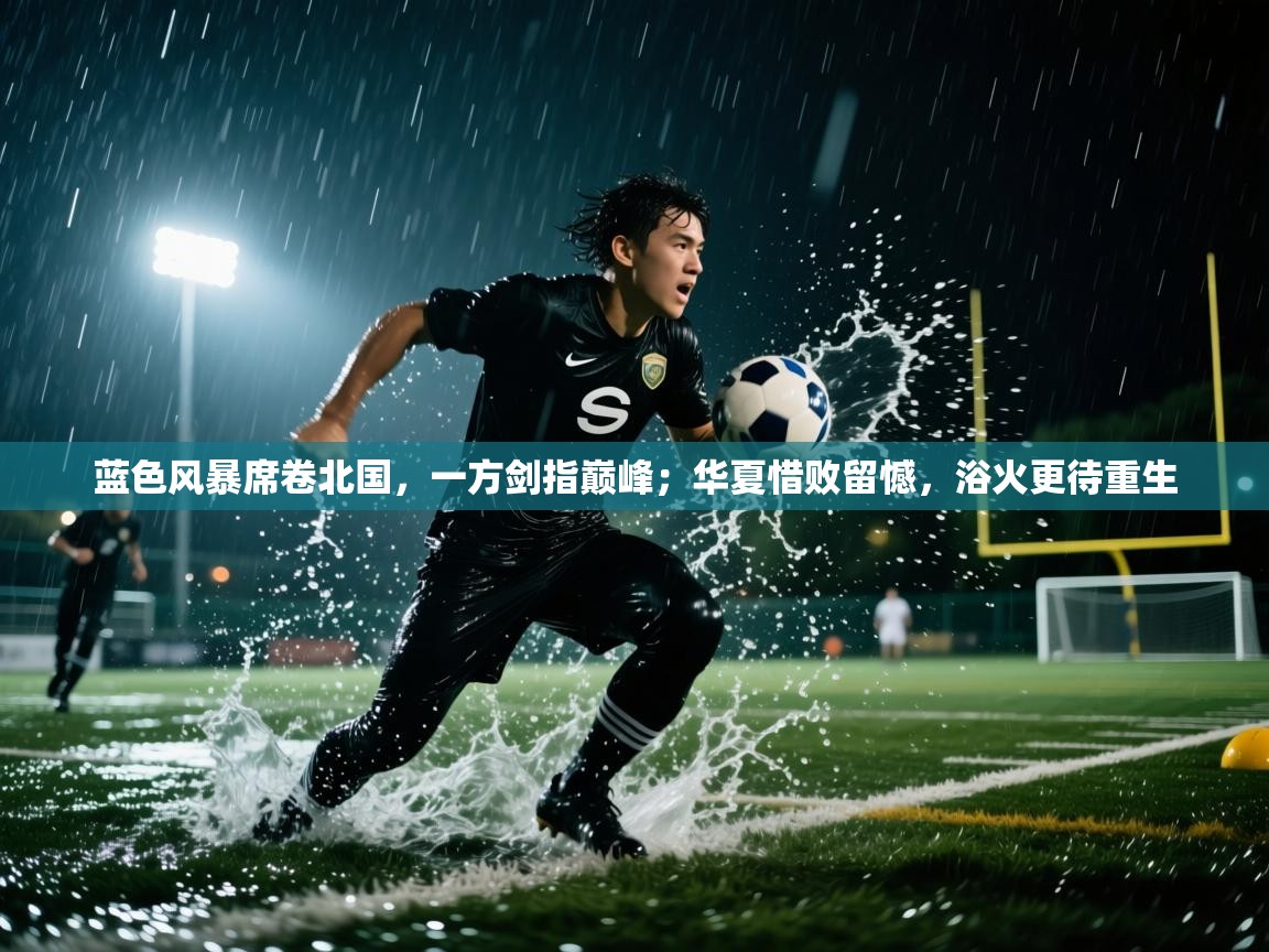 蓝色风暴席卷北国，一方剑指巅峰；华夏惜败留憾，浴火更待重生